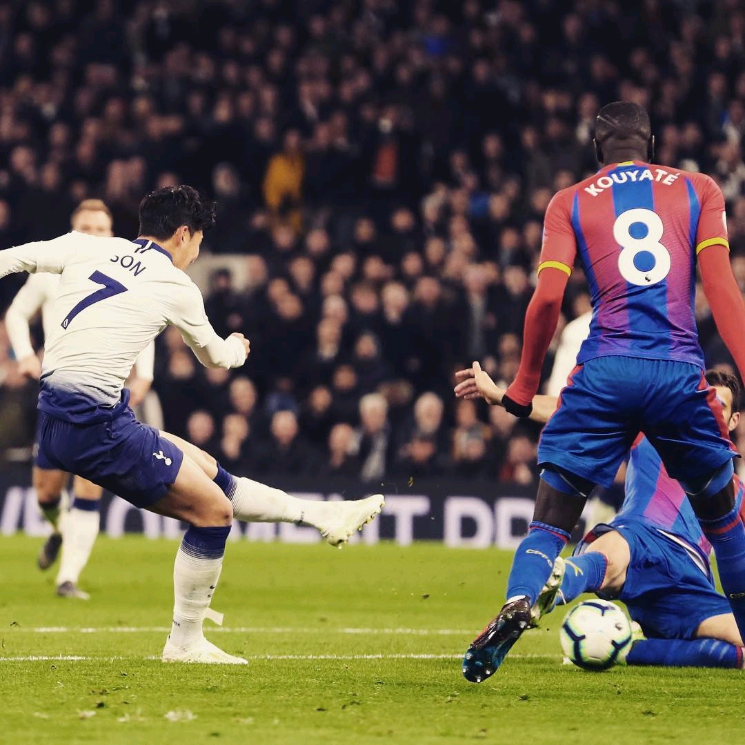 使球迷和球 使球迷和球